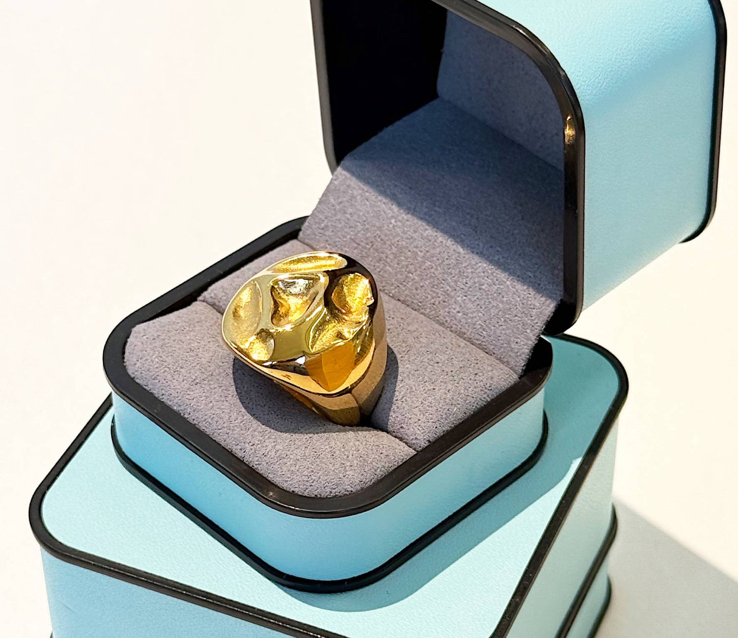 Fluid Ring