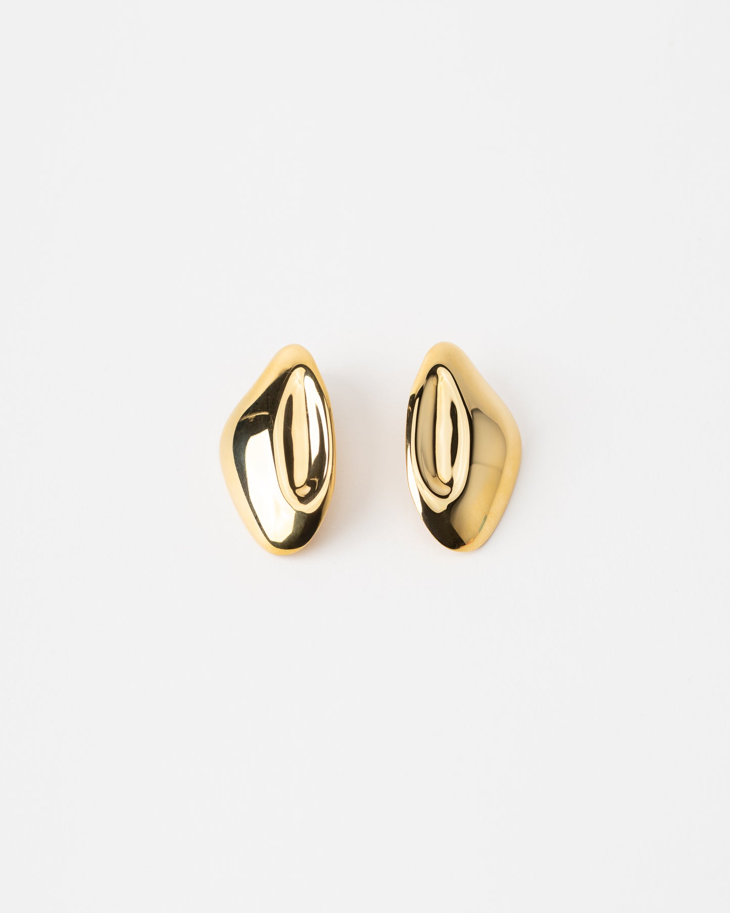 Oyster earrings