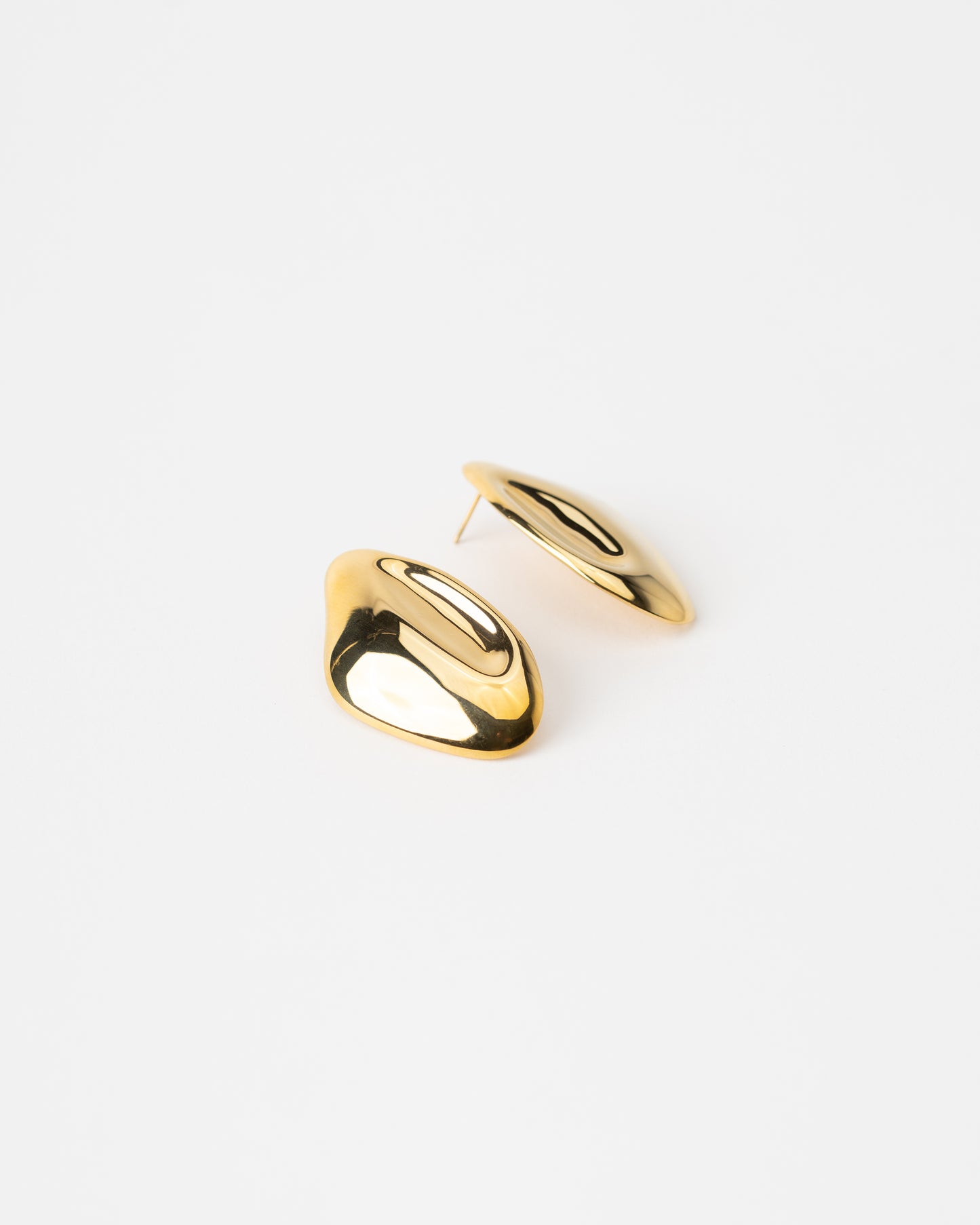 Oyster earrings